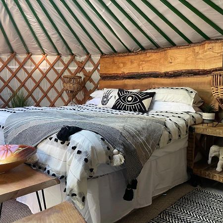 O Dan Y Coed Luxury Yurt With Hot Tub Otel Chwilog Dış mekan fotoğraf